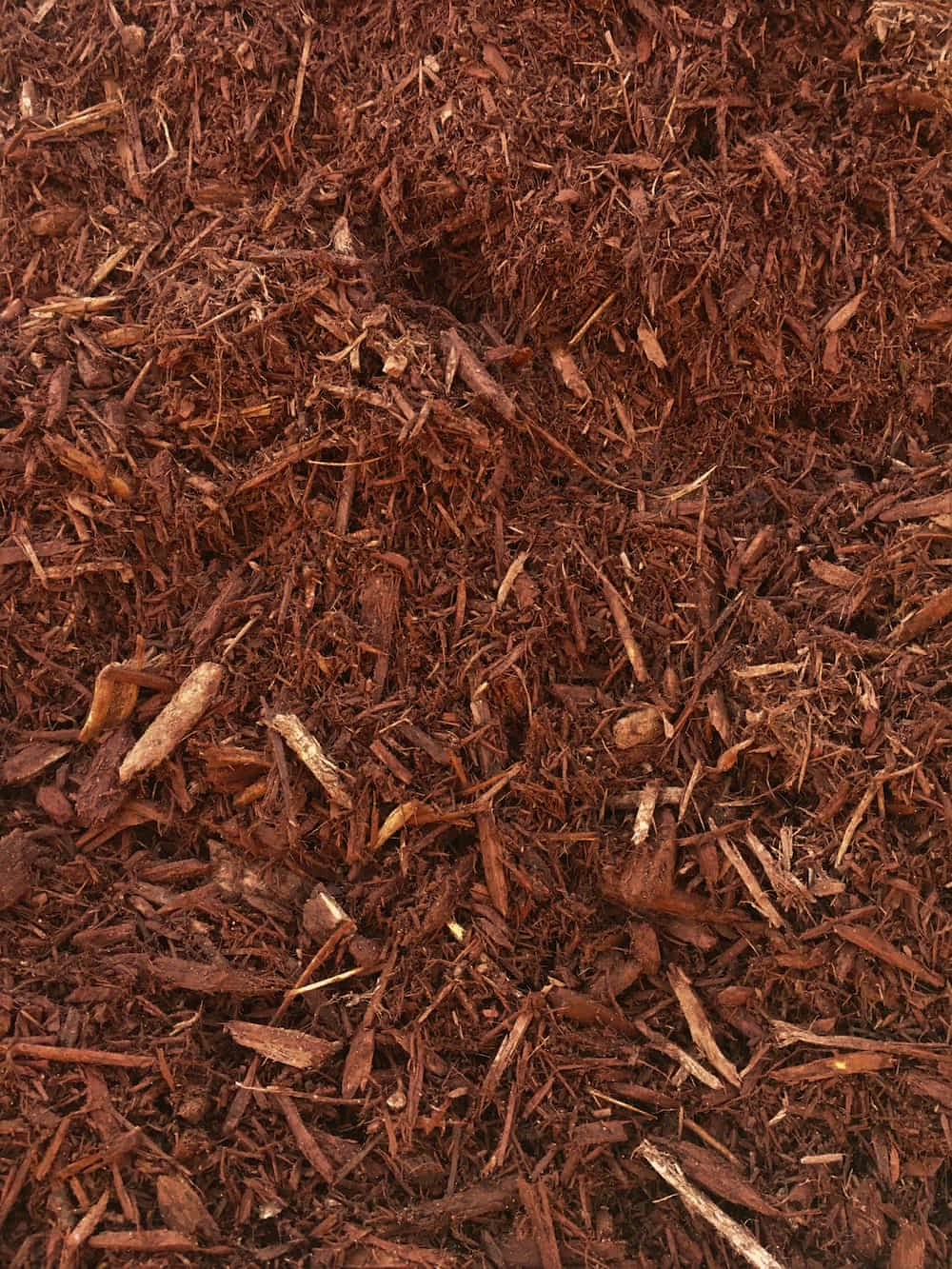Red Pine Mulch